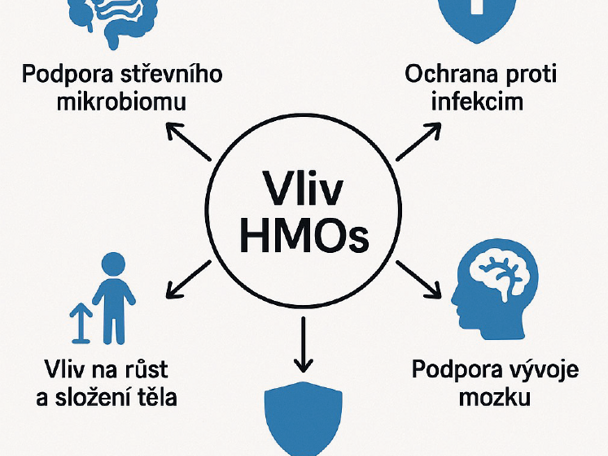 význam HMO