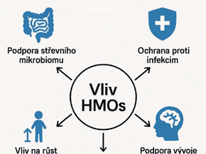 význam HMO