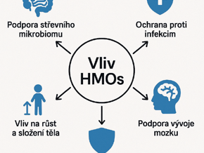význam HMO