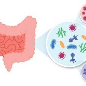 alexandra-zhernakova