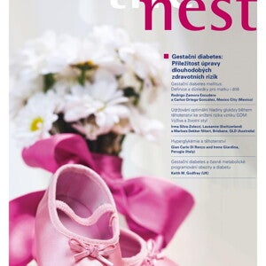 Nest_41_Gestační diabetes
