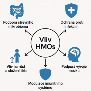 význam HMO