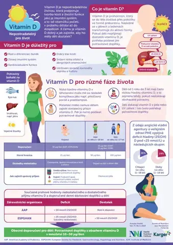 Infografika